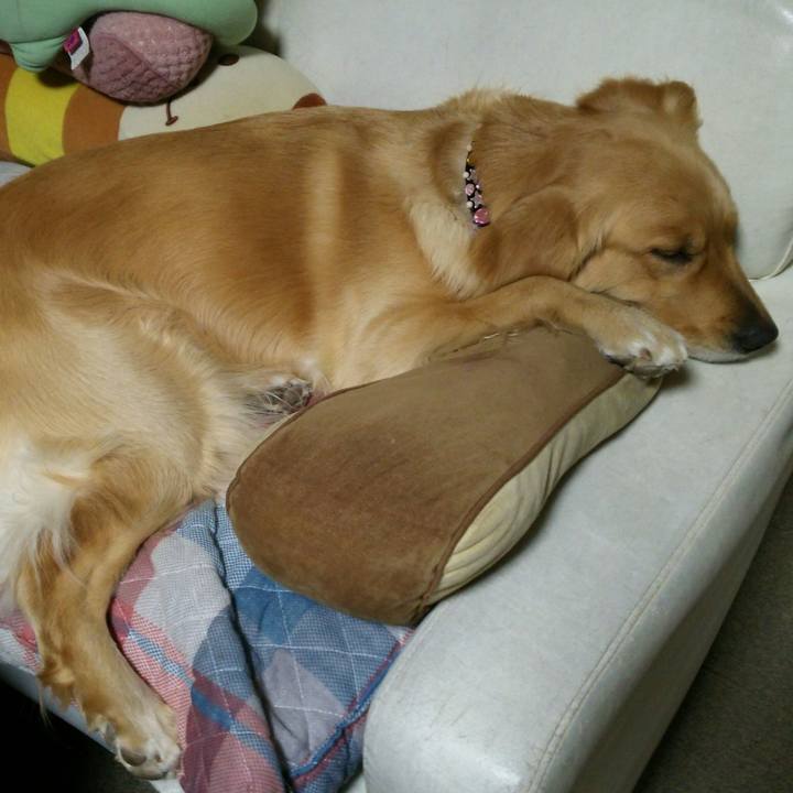 C6fd9d2b 7979 411c a231 edffbade8ede