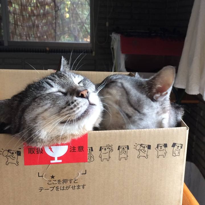 C6fdc1cb d718 4328 8be7 b1810ddf2c1b