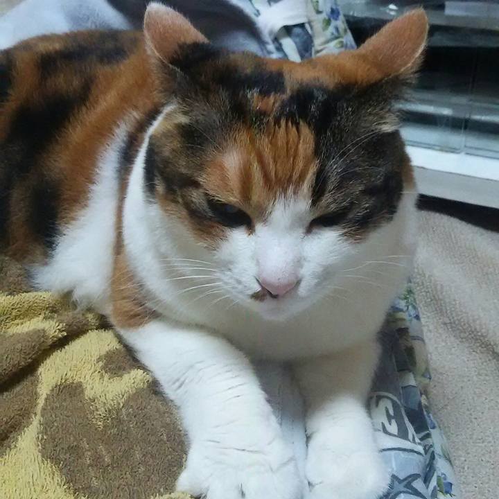 C6fe2962 7e3d 44a2 969a e69fdab2157a