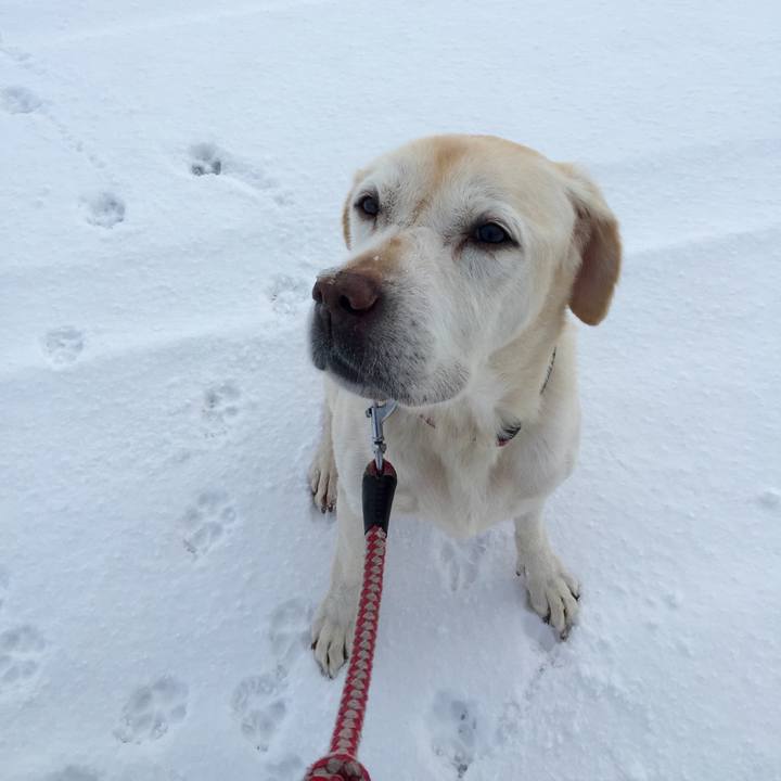 C6fef6fd c320 45f8 a139 2e85a99007b8