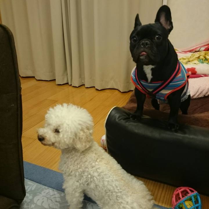 C6ff1cbc 3581 46bc 8f28 ab33006e5a43