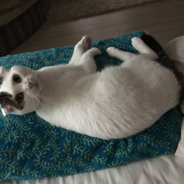 C6ff2dc5 05f5 4142 8b99 89f3b8316f0b