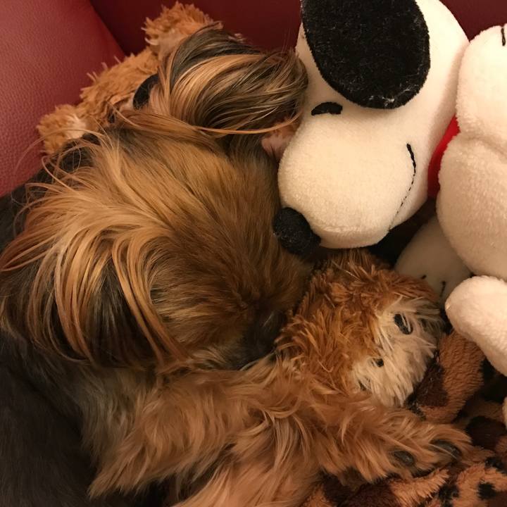 C6ff5611 7011 469e b720 80543a73a043