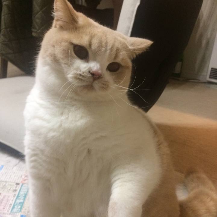 C6ffa2e2 faed 4631 8f6c aa9ea5021eea