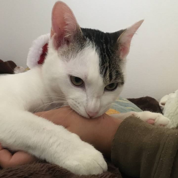 C7007b23 3edf 4302 a714 1b32f9ae7798