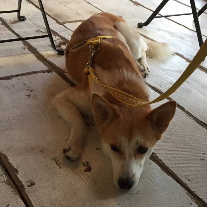 C7012a47 90ef 4395 a173 f5d71e4b471d