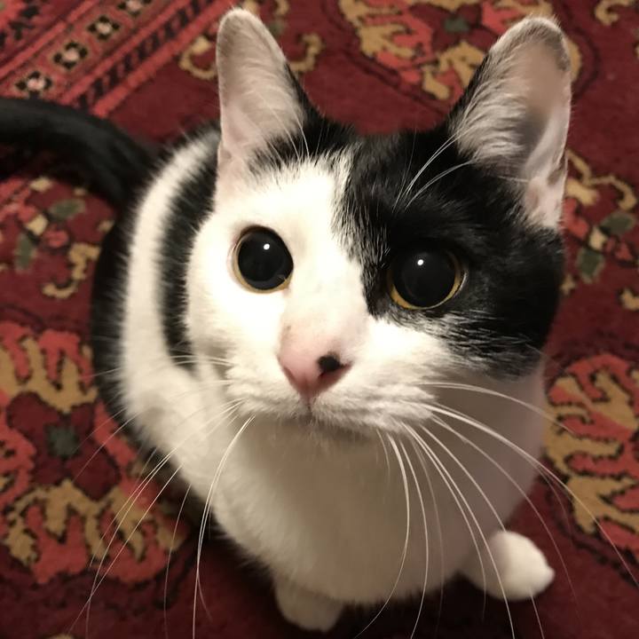 C701fb0c 221d 42ee bdb4 489eff6b7103