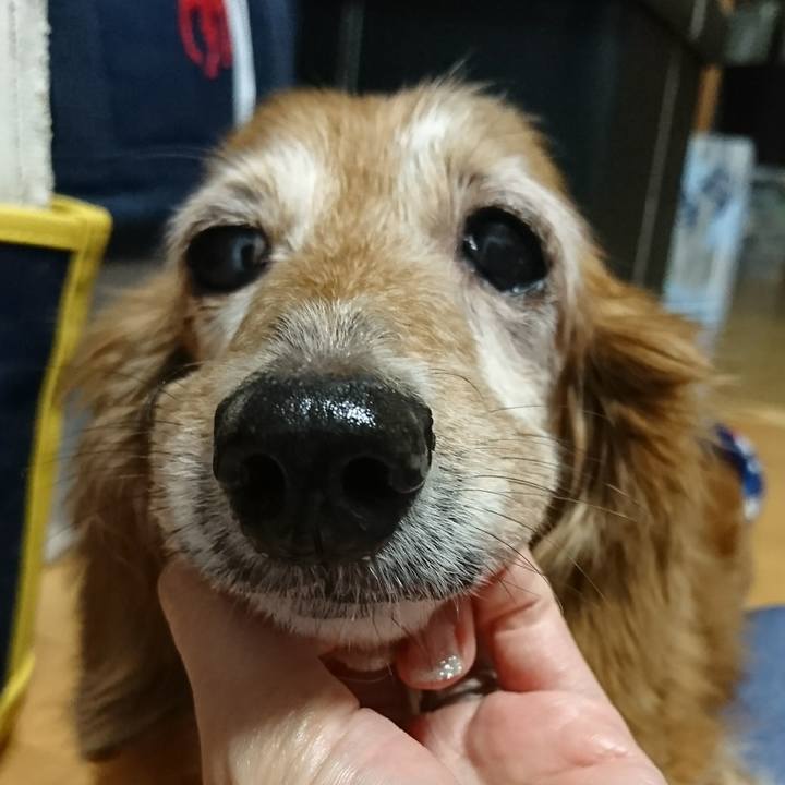 C702707d ae1d 4fd6 ba19 c201121cda45