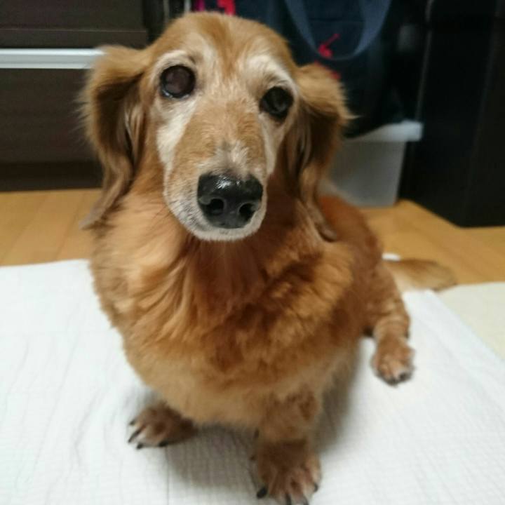 C702e391 75bb 4697 babd 4858412429a0