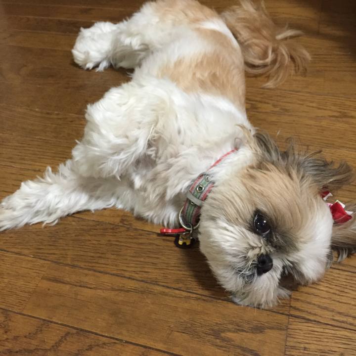 C702f326 f958 49f3 a466 4ae124a55603