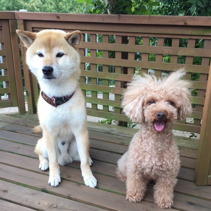 C7032d9d de8d 46e7 a494 e9dac48c2be5