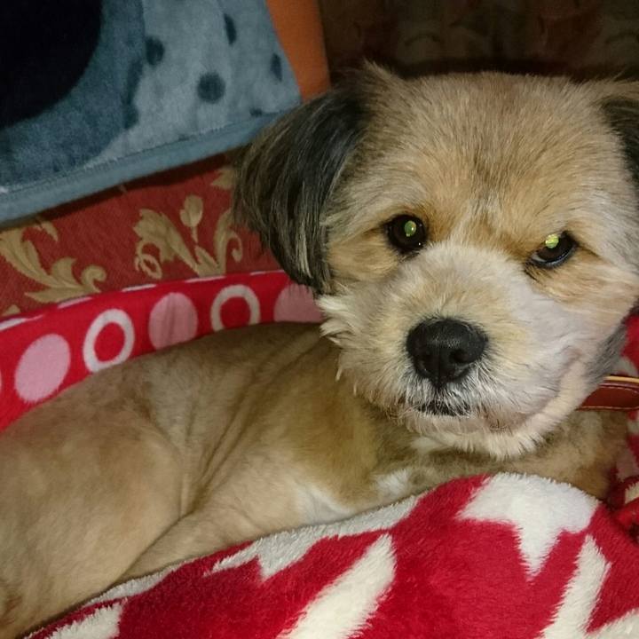 C703612f 1926 4cf0 9b2a 55714bf2cfdb