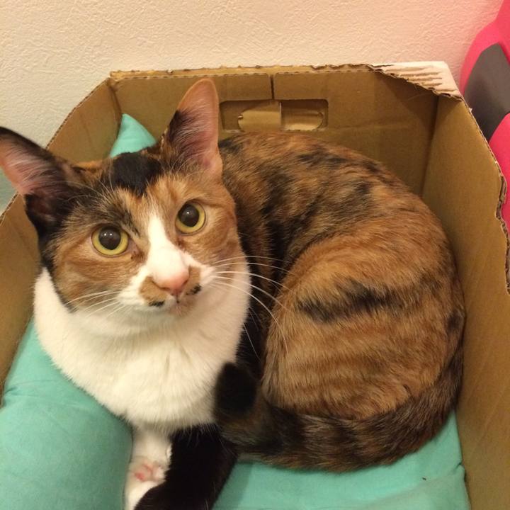 C7047a7f 7281 4f00 a9d3 f546f4b38de0