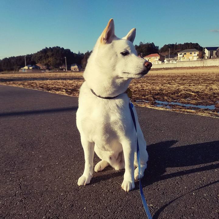 C704d525 6ba3 4817 a30a 071145625d6e