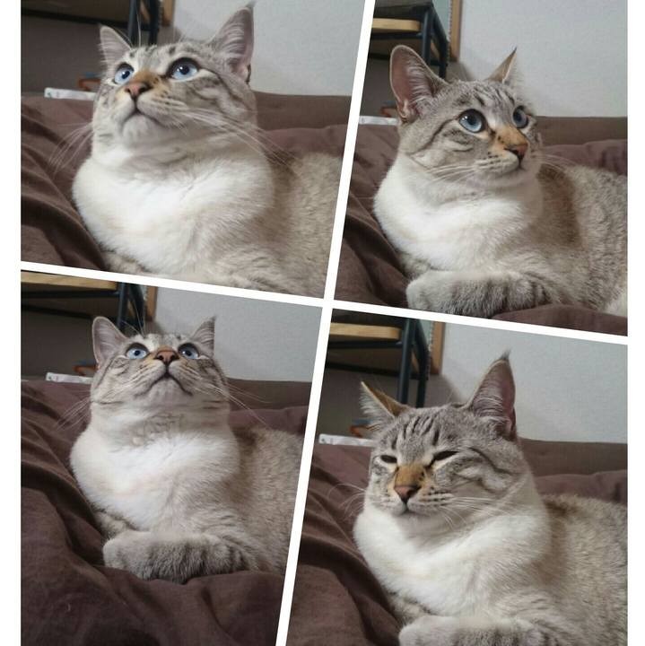 C705143c 79a1 4ead b067 45c5b5239152