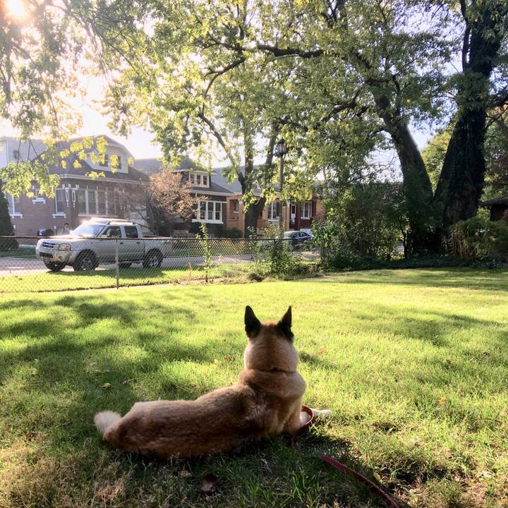 C7054302 44f6 4449 b60d 2303d29acc1c