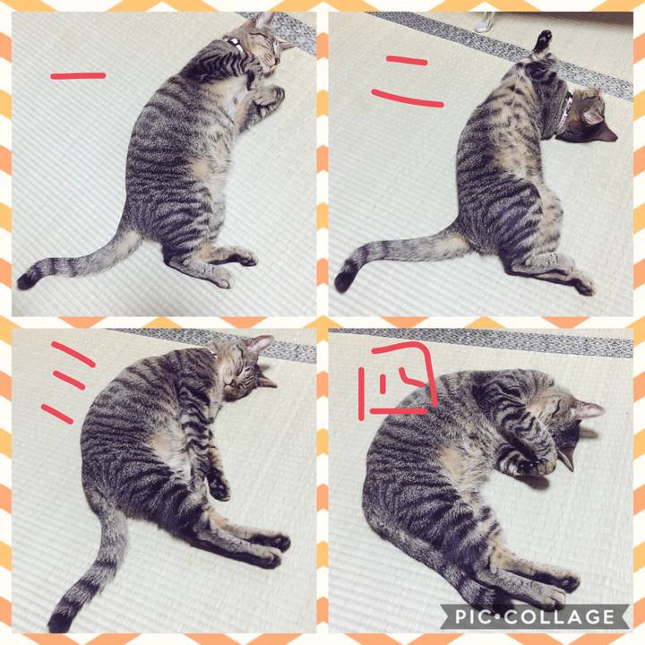 C705b88d 2a56 4cc1 a0b7 da6e4a02e589