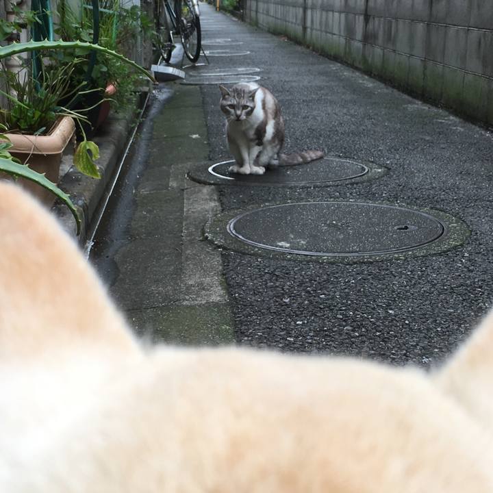 C7061343 ca4f 4cc0 852f b0d1f71343c3