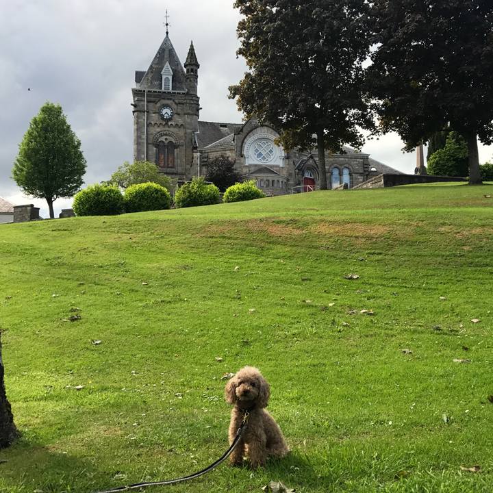 C7069375 d380 4a50 8820 b43edf364d42