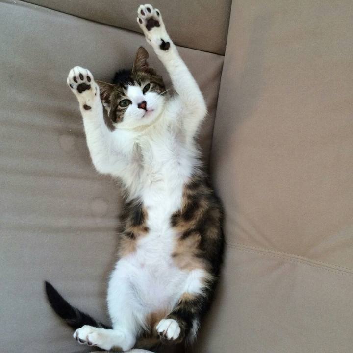 C706efd2 a4fa 4d1f 946e 0c9e1fbaa5da