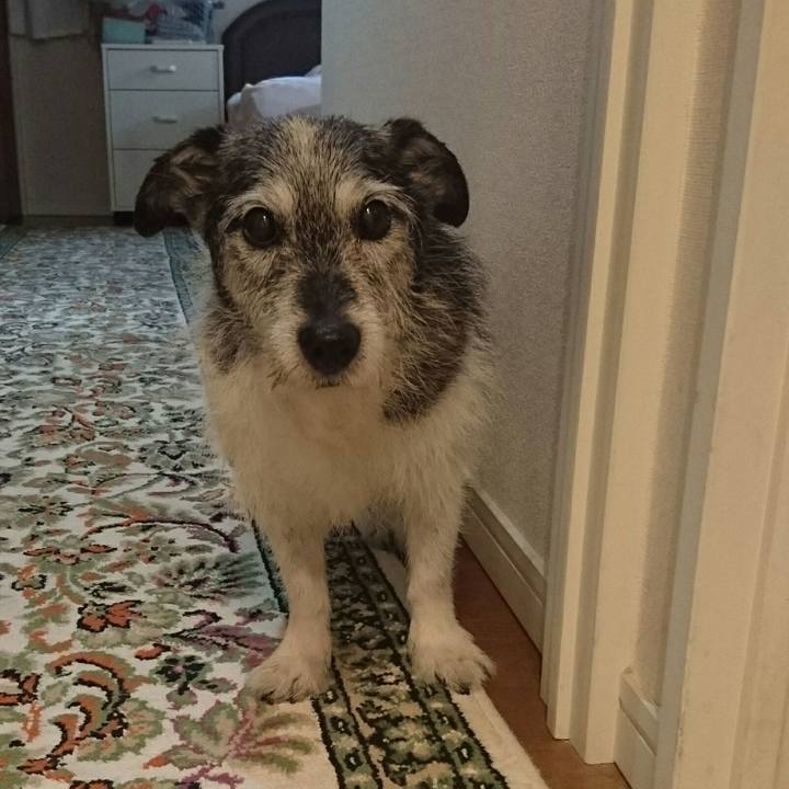 C7076c2d 71d9 44ff b330 8f9747a9cd7e