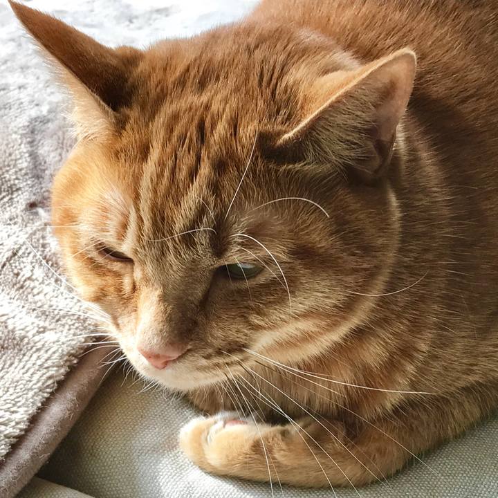 C70828e8 ed6f 414b 8ced 66300225b5d3