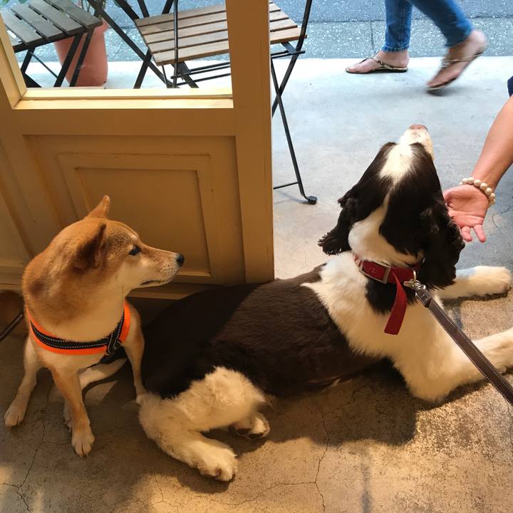 C7087ce6 4a00 4fda b739 98fcb04538ff