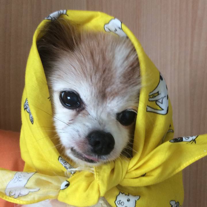 C708a7e7 1c70 4406 bfc8 819f5cf9dfd8