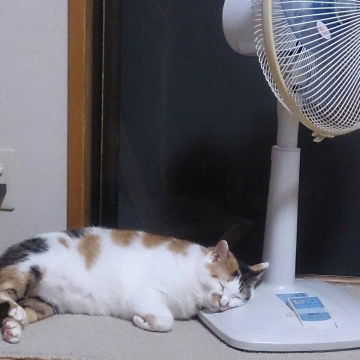 C708c7d1 3090 434f b1e1 189f410a2bfc