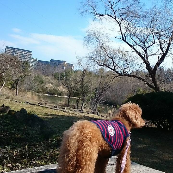 C708e6b4 b88c 448c 88c2 c7ba4c28b0e0