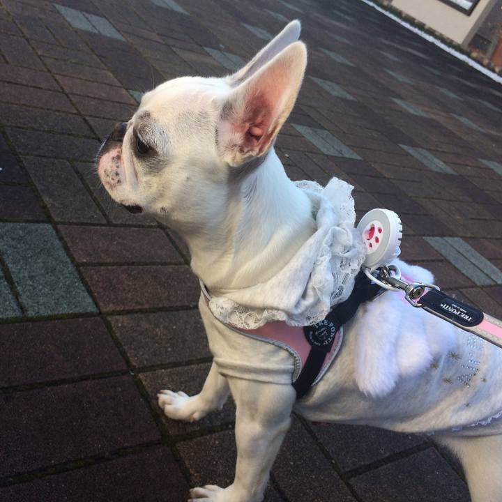 C70955ed 05c2 433c 97a0 ce4f30340376