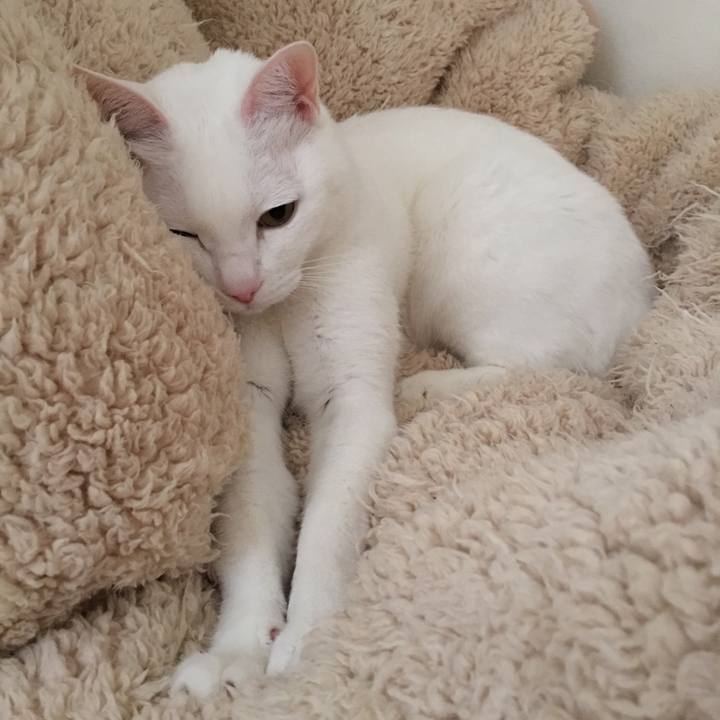 C7096971 fd92 4dea b56b 20d8abcea1a8