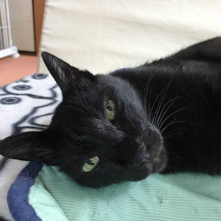 C709979c 8935 4549 a4f8 312fdd58fe1b