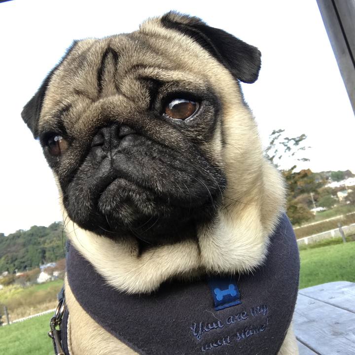 C709b3a1 8451 4e70 b93a 14f23bae2b8c