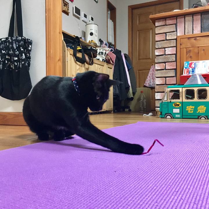 C709f819 33ff 4deb 9a36 3869f9cb8127