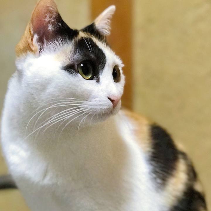 C709fb73 73b9 498f 9858 9550c1f8aff7