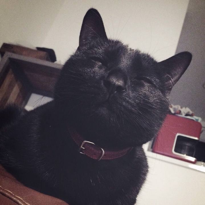 C70a69f9 64eb 4c22 91e1 3eea50052d96