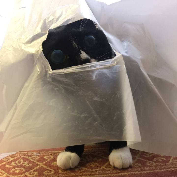 C70ac45c 1dae 4cda b9d0 5a158453cb4f