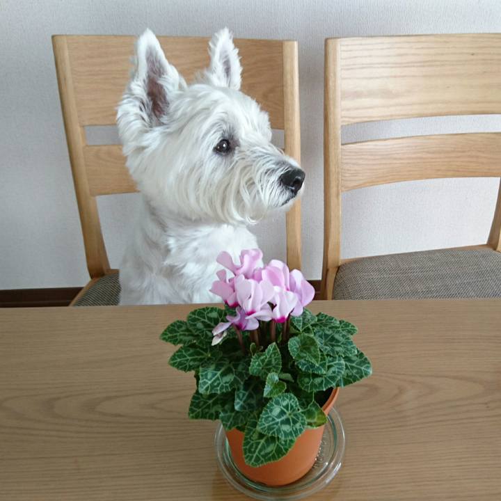 C70ae255 f6a5 4944 8a8a 5fd723d1f0de