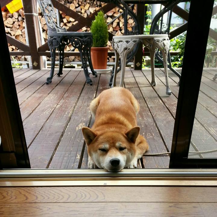 C70b0ef6 fc98 4bb1 9902 5f773be3805e