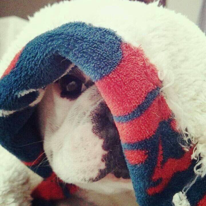 C70b20fc 04c8 4592 bf14 c83a99beda62