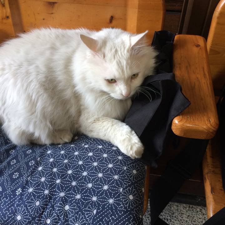 C70b7163 b80e 4aa3 9952 e258592cb1fe