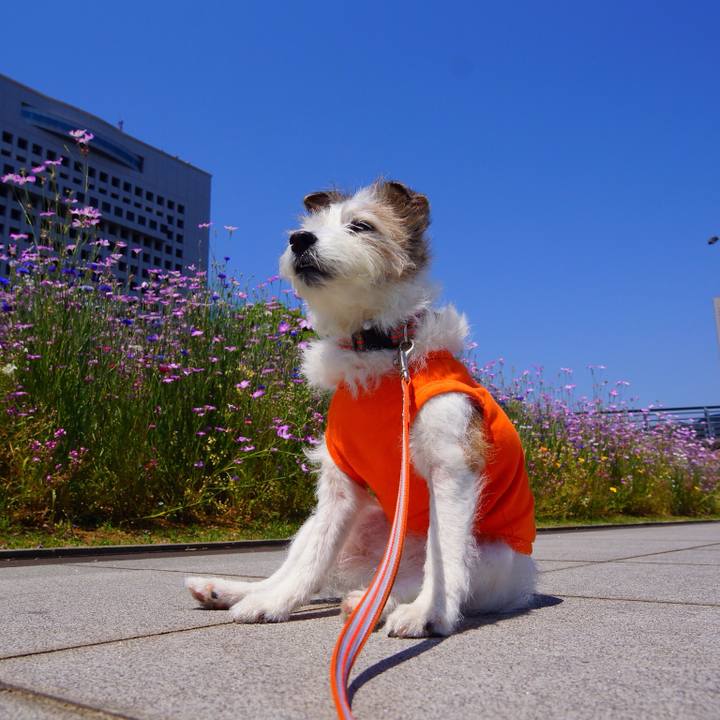 C70b85cf 00ca 4f11 a00a 2069ee20dfcc