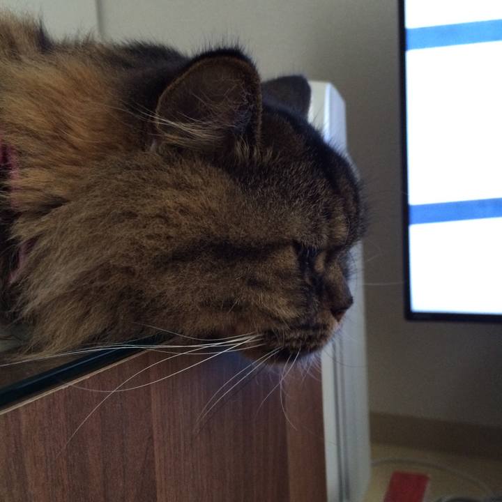 C70bf574 ac81 45a0 b96d 2208b732cd73