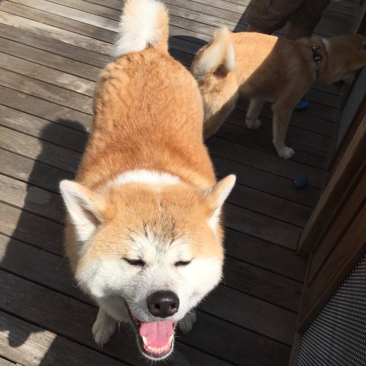 C70cf9ff cf8f 4a76 a7f1 568bdfb8a1b2