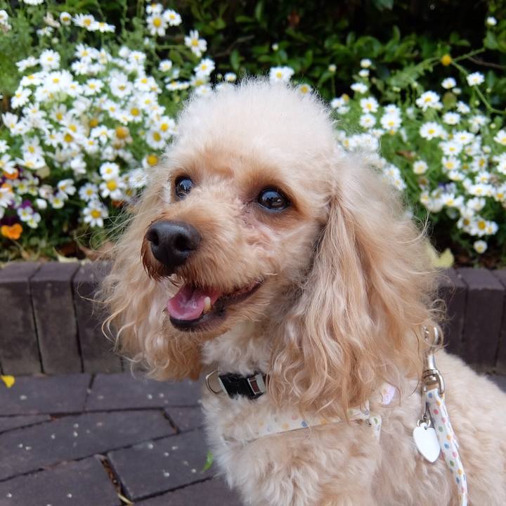 C70dae02 8bc3 4f7d bf8f 0871951c60a3