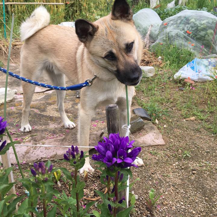 C70de4cb 737c 4485 a7c0 6c5f0f66e067