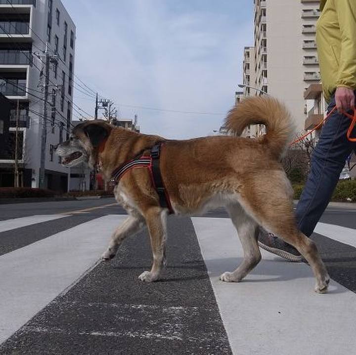 C70e61e1 7a98 4938 8123 7a0829e3787c