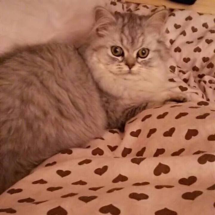 C70ecca1 aa0c 45b3 871f a447da0dbac0