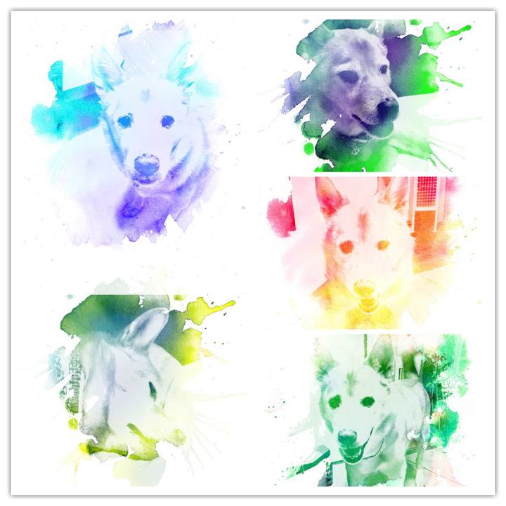 C70f6ad1 8928 455c 9523 b1f89b0b758c